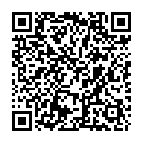 MaksStealer information stealer QR code