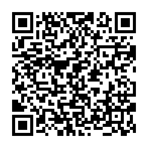 MaskGramStealer information stealer QR code