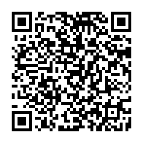 Fake MasterBOT ($BOT) Airdrop QR code