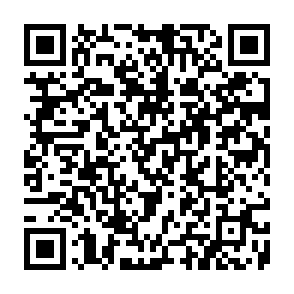 Fake MegaETH Registration platform QR code