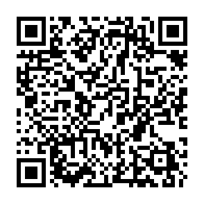 Memecoin Mania Airdrop crypto drainer QR code