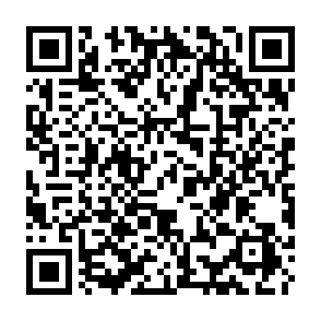 Ads by meshchainsolutions.com QR code