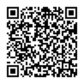 Ads by mesofirewall.co.in QR code
