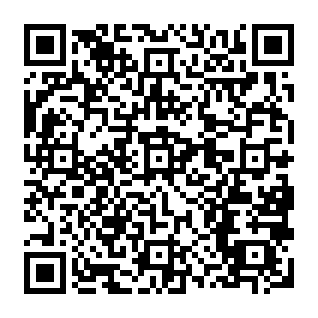 Messages Are On Hold phishing scam QR code