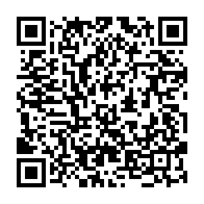 Ads by metachainedge.com QR code