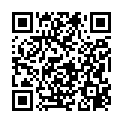 MetaStealer information stealer QR code