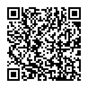 Fake Microbiome DAO giveaway QR code