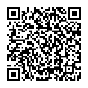 Fake moltbot ($MOLTY) giveaway QR code