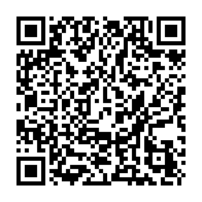 Monkey virus QR code