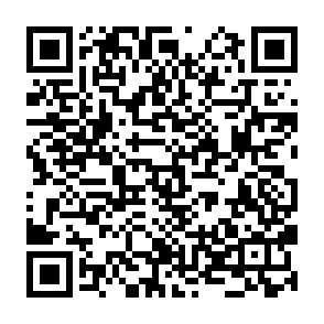 Fake $MURAD Presale website QR code