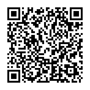 NBLock Black virus QR code