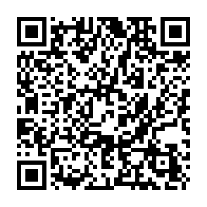 Ndm448 virus QR code