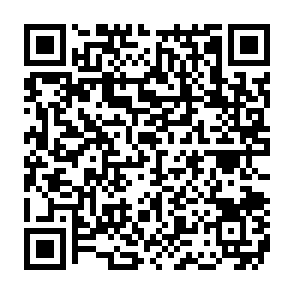 Ads by netchainspan.com QR code