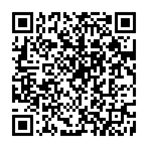 NetZero Email Update phishing scam QR code