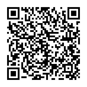 Next Holidays scam email QR code