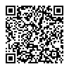 Niche Baby ($BABY) Airdrop crypto drainer QR code