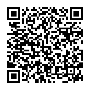 NimDoor stealer QR code