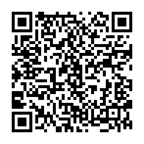 Ads by nonfliestortic.com QR code