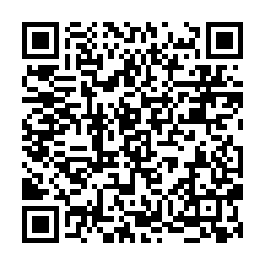 notnullOSX stealer QR code