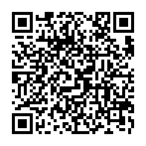 Ads by novarae.co.in QR code