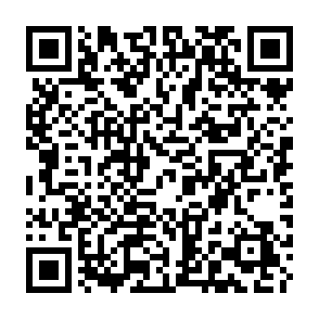 NovaStealer virus QR code