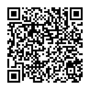 NWHStealer information stealer QR code