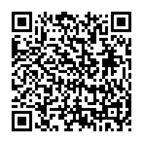 OpenxAI Staking crypto drainer QR code