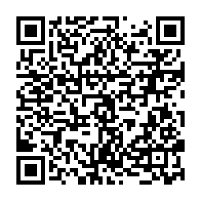 Fake Ore ($ORE) giveaway QR code