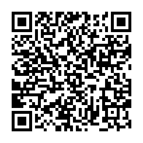 Fake p0 Systems ($P0) giveaway QR code