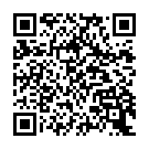 palnk.pw pop-up QR code