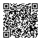 paluns.xyz pop-up QR code