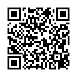 PamStealer virus QR code