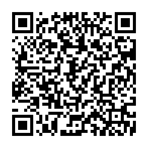 PANDA virus QR code