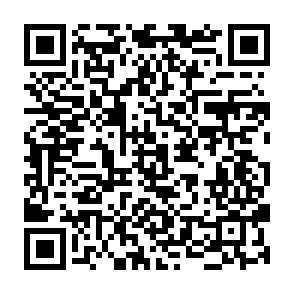 Ads by panneyess.com QR code