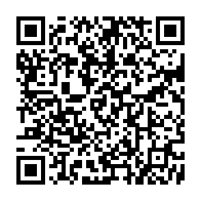 $PAXOS Token Launch crypto drainer QR code