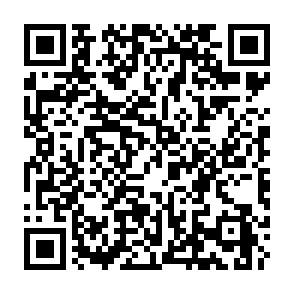 Payment Advice phishing email QR code
