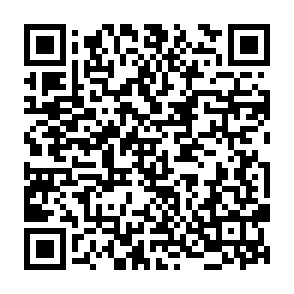 Payment Released phishing email QR code