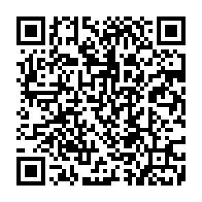 Pendle Ecosystem Rewards crypto drainer QR code