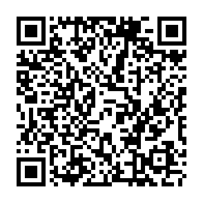 Penumbra info stealer QR code