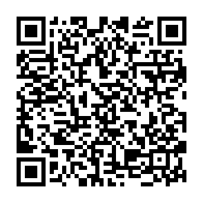 Pepe Rewards scam website QR code