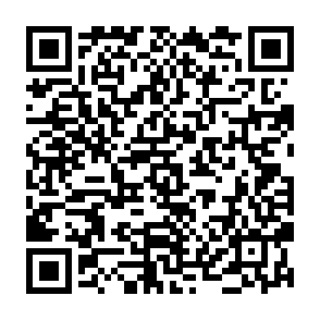 Perpl Vote Rewards crypto drainer QR code