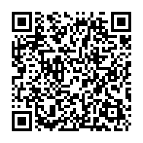 Perseus remote access trojan QR code