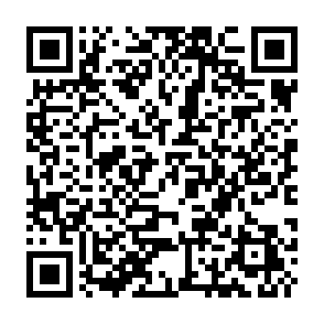 PhantomStealer information stealer QR code