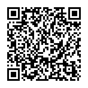 Phenol virus QR code