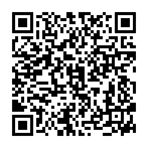 Phoenix Worm dropper QR code