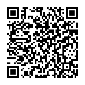Pi Network Airdrop scam website QR code