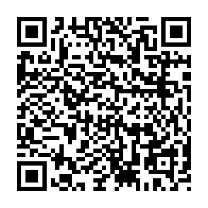 Fake Pippin token giveaway QR code