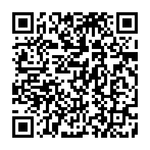 Fake Plasma (XPL) Allocation website QR code
