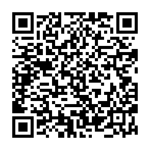 Fake Plasma (XPL) Rewards platforms QR code