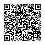 Plug Wallet fake giveaway QR code